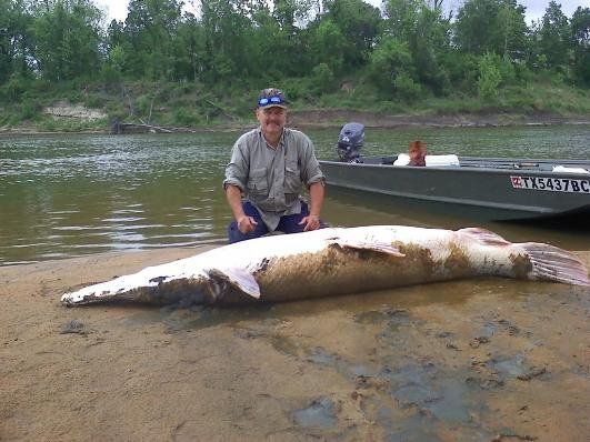 Bowfishing For Asian Carp HuntingNet.Com