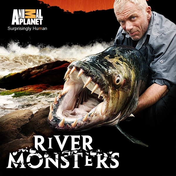 How to Catch a Snakehead River Monsters Animal Planet