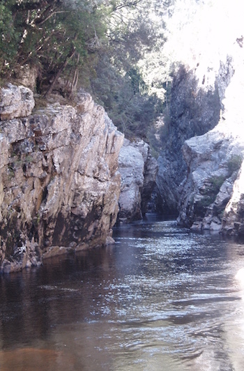 Death of a River Guide by Richard Flanagan Beaufort