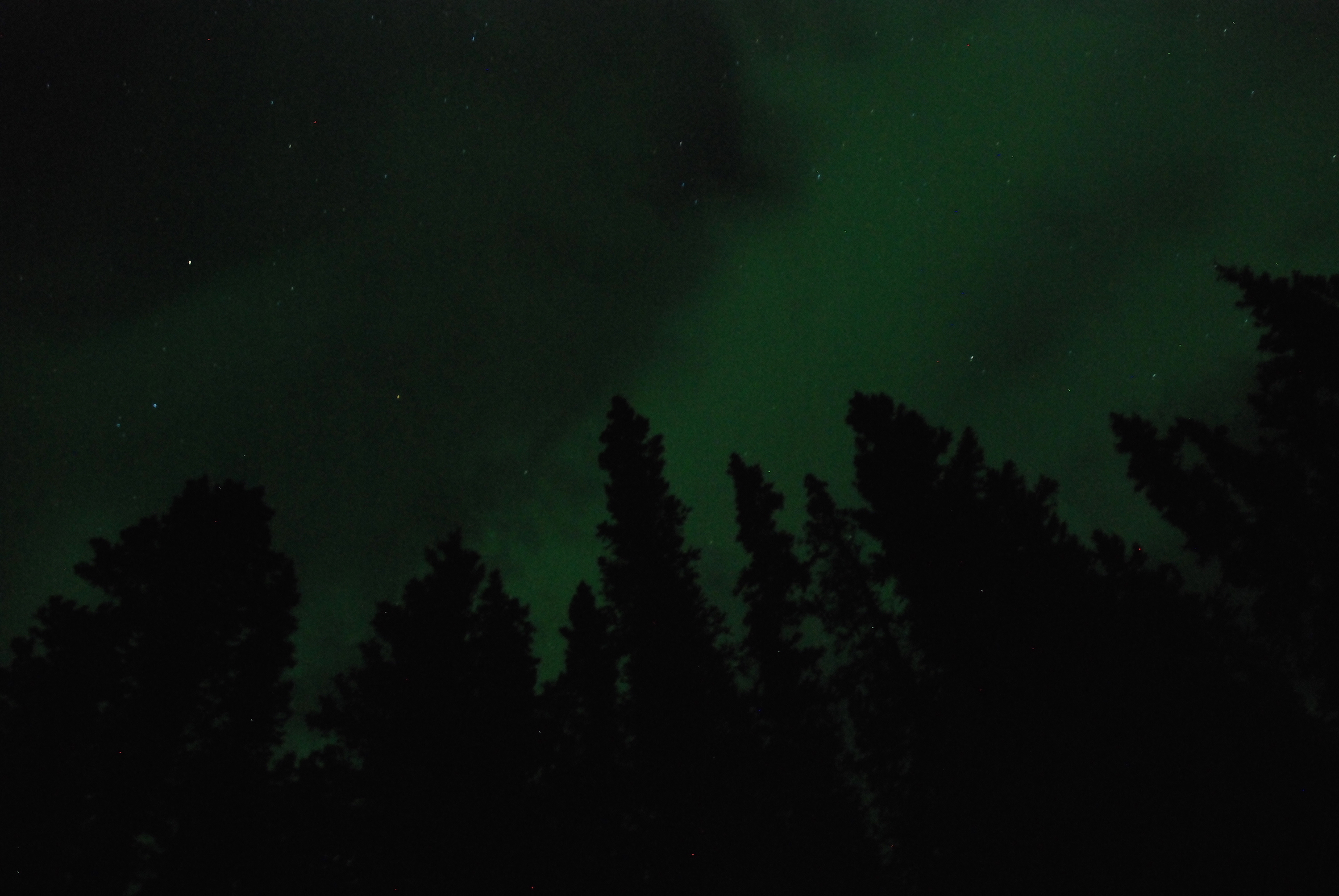 Guided Thomsen river canoe trip (Yukon canoeing trip and